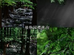 -国家植物园