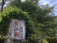 -广州白江湖森林公园