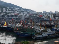 -枸杞岛