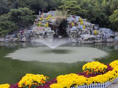 -香山公园