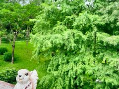 -云溪植物园