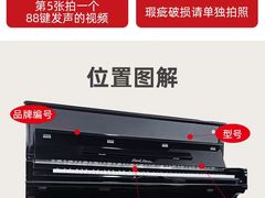 -陆家嘴世纪金融广场