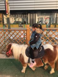 -萌宠亲子动物乐园(槐房万达店)