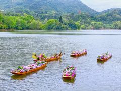 -深圳仙湖植物园