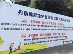 -盐城丹顶鹤湿地生态旅游区