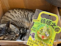 -正阳书局(西四南大街店)