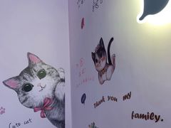 -三花喵·撸猫购宠·宠物生活馆(虹桥南丰城店)
