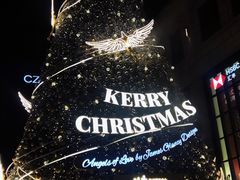 -长藤鬼校(龙翔店)