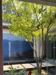 -爱儿美儿童摄影(朝阳公园店)