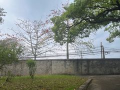 -福建师范大学(仓山校区)