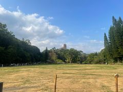 -深圳仙湖植物园