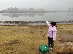 -九龙湖公园