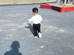 -春花秋色城市公园