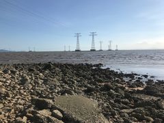 -宝安西湾红树林湿地公园