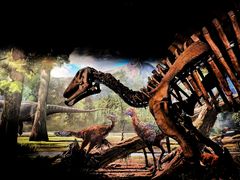 -辽宁古生物博物馆