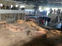 -自贡恐龙博物馆