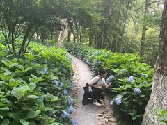 -莫干山风景区
