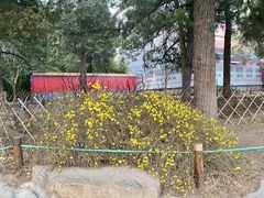 -百香林西点(西安门店)