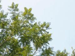 -白鹭湾湿地公园