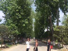 -秦岭风景区