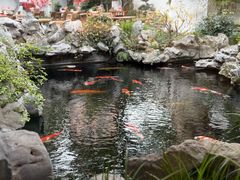 -鲤院·新中式美学·庭院餐厅(夫子庙店)