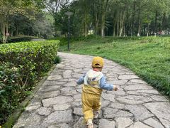 -重庆彩云湖湿地公园
