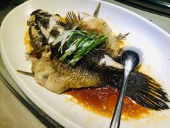 -九朝会昆曲·宴(望京店)