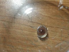 红豆珍珠-可莎蜜儿(金沙学府店)