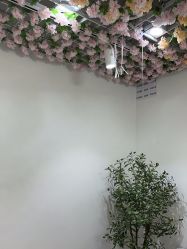 -MISS STAR·半永久纹眉·发际线·美瞳线