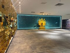 -大视光学•LINDBERG林德伯格•全球手工眼镜集合店(王府井店)