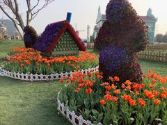 -荷兰花海