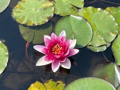 -白马涧龙池景区