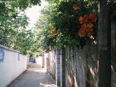 -绮园景区