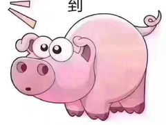 -奇迹健身·恒温游泳(恒大广场店)