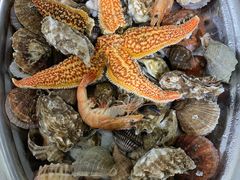 -宾朋海鲜特色美食餐厅·纯手工鲅鱼水饺(兴海路店)