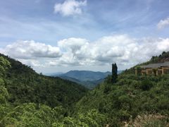 -军营村