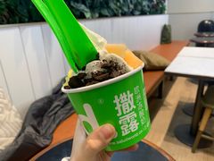 -Salud撒露欧洲冻酸奶(蓝色港湾店)