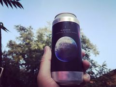 -ZING鲸鱼啤酒(葡萄院店)