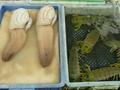 -澳门环岛游湾仔码头