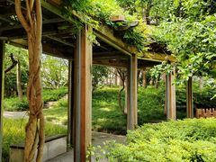 -徐家汇源景区-衡山公园
