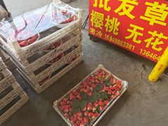 -东方鼎信农副产品交易中心