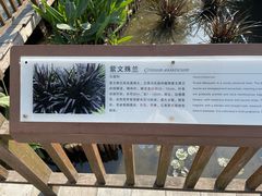 -五缘湾湿地公园