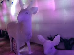 -白鹿仓冰雪海洋世界