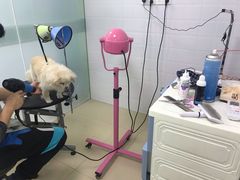 -圣宠动物医院·犬猫专科·影像中心·外科中心