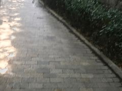-热带风暴水上乐园(新镇路)