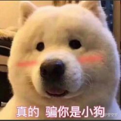 -芳琪造型