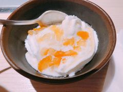 yogurt ice cream-Kintan Japanese BBQ Oxford Circus