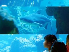 -长鹿旅游休博园