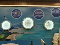 -海中洲渔社