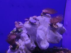 -青岛海底世界-水族馆